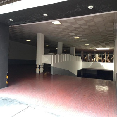 Estacionamiento2